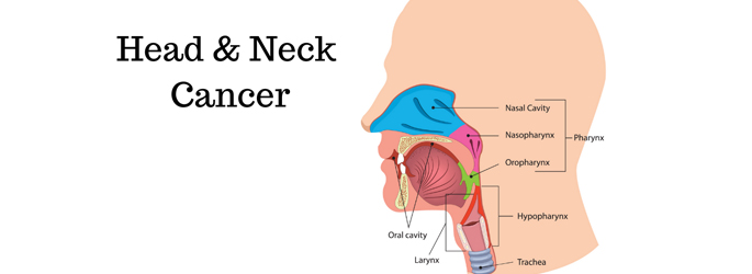 Best Oncologist Doctor in Juhu, Vile Parle, Andheri